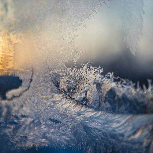 Photo #13021441