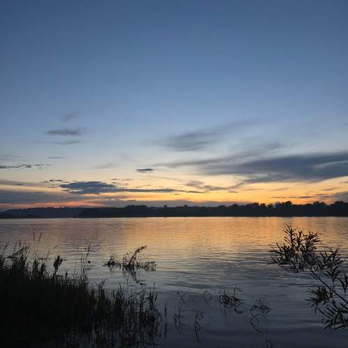 Photo #13021706