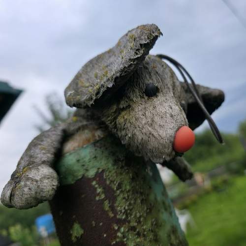 Photo #13021712