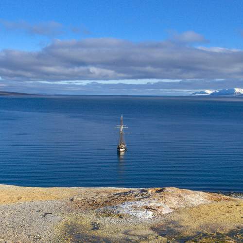 Photo #13021840