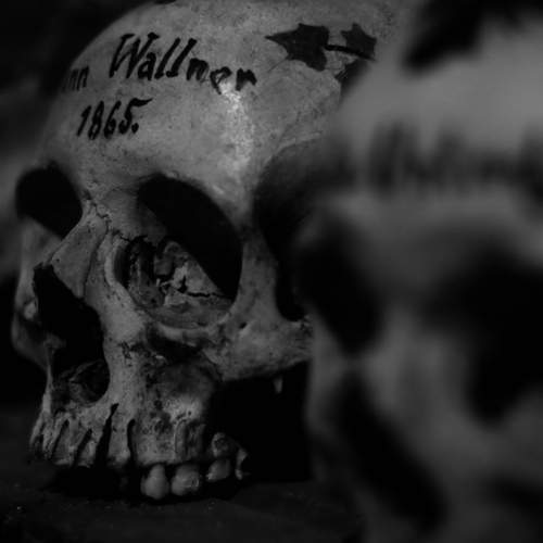 Photo #13021892