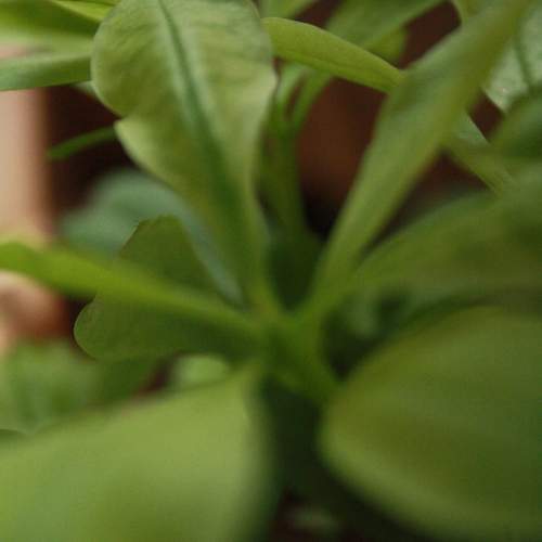 Photo #13022028