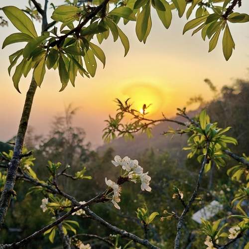 Photo #13022122