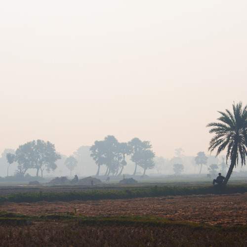 Photo #13022195