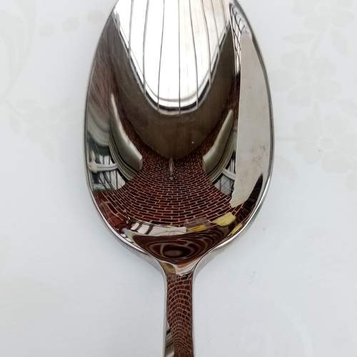 Photo #13022282