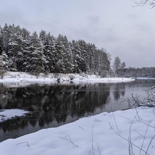 Photo #13022439