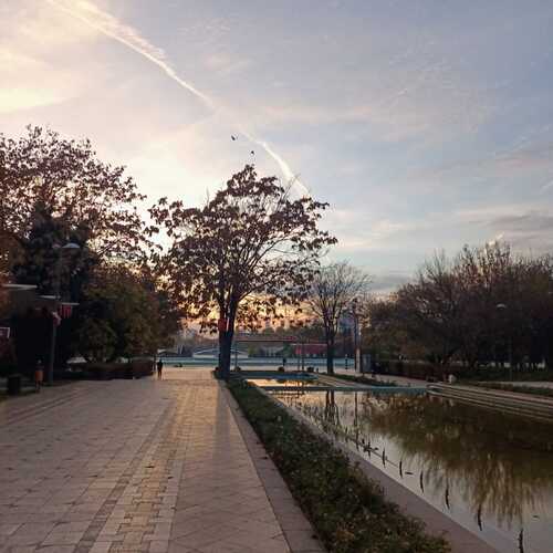Photo #13022520