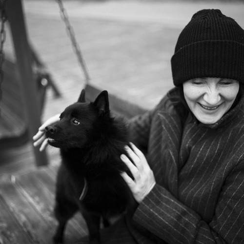 Photo #13022810