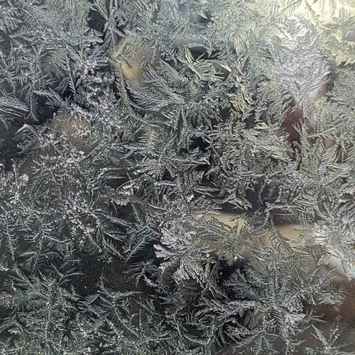 Photo #13022952
