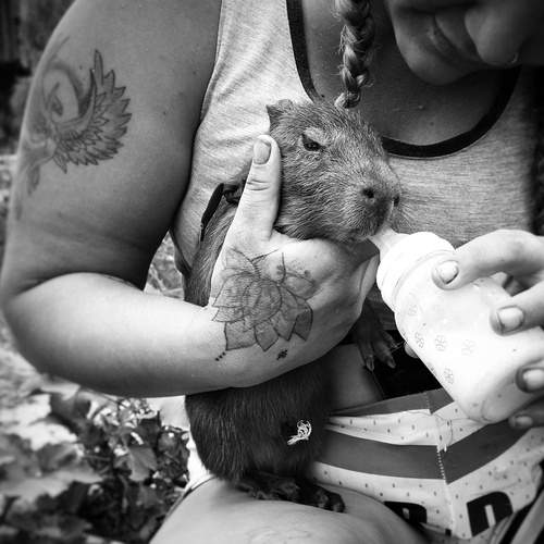 Photo #13023025
