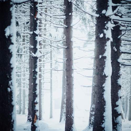 Photo #13023136