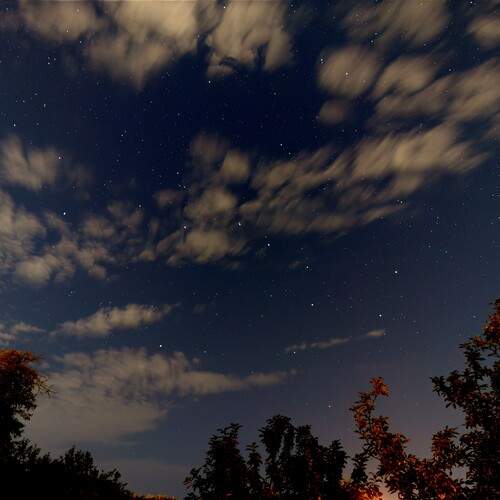 Photo #13023144