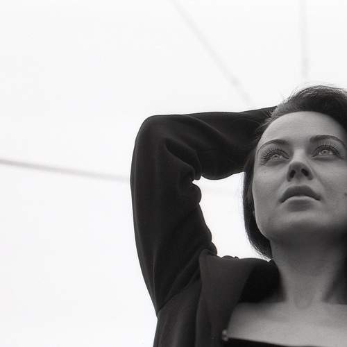 Photo #13023165