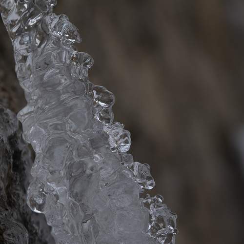 Photo #13023274