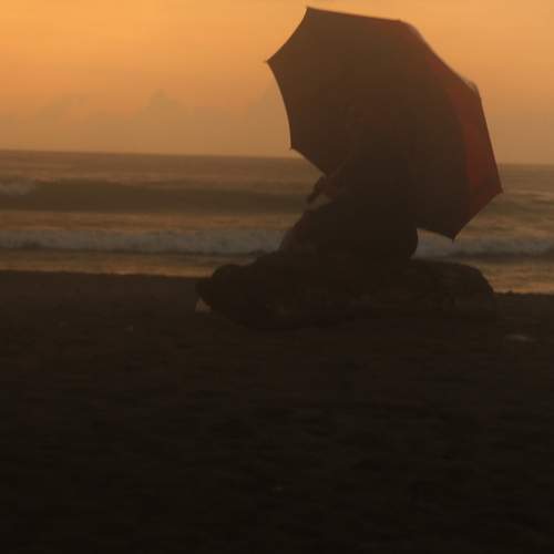 Photo #13023516