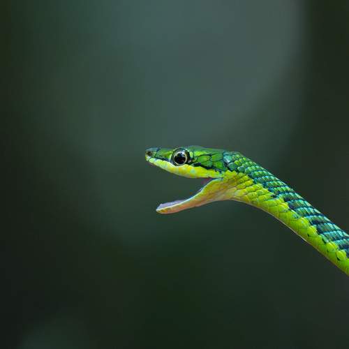 Photo #13023638