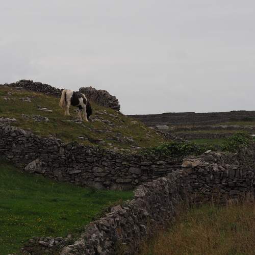 Photo #13023645