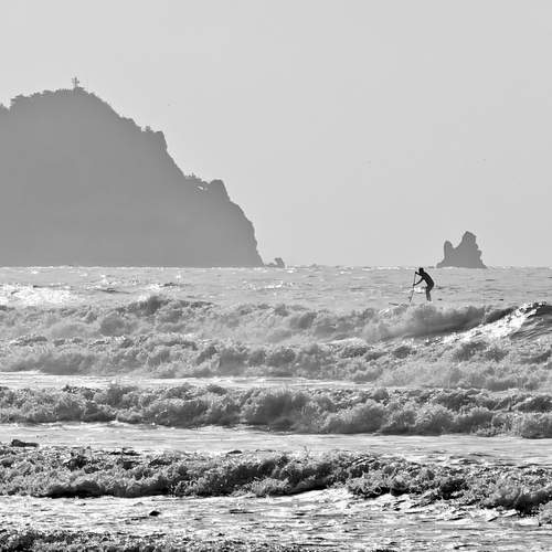 Photo #13023793
