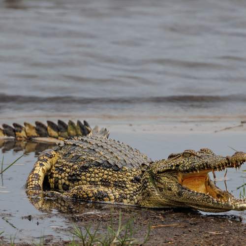 Photo #13023938