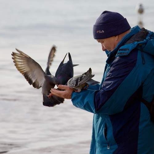 Photo #13024091