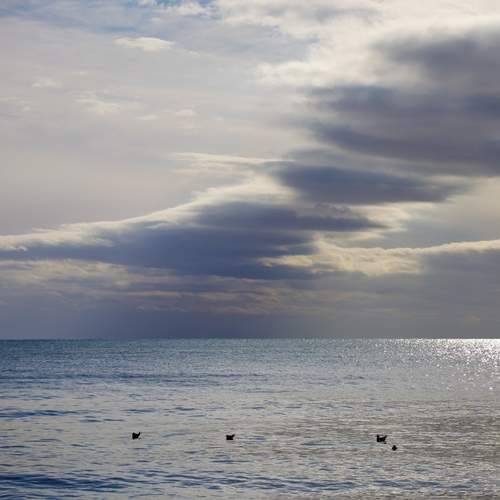 Photo #13024094