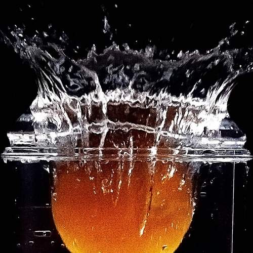 Photo #13024108