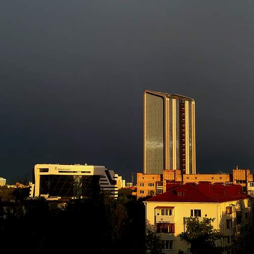 Photo #13024180