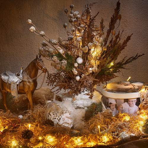 2026 Год Лошади