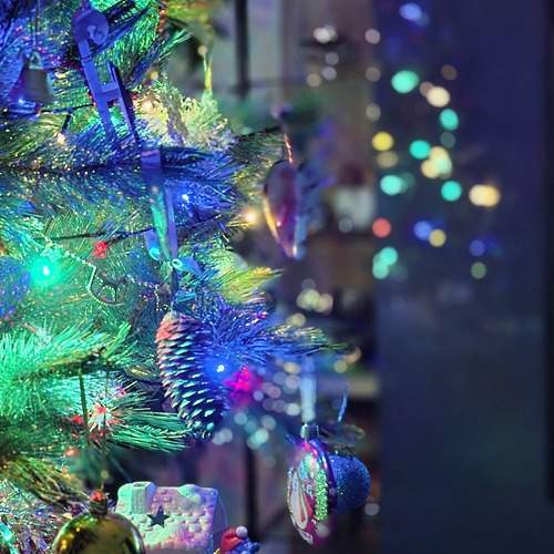 Photo #13024459