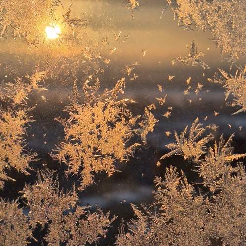 Photo #13024479