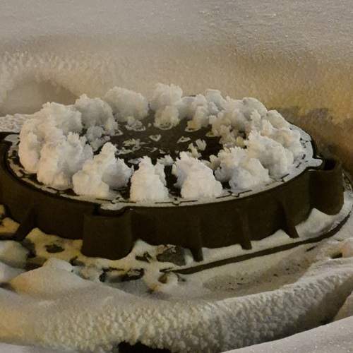 Photo #13024485