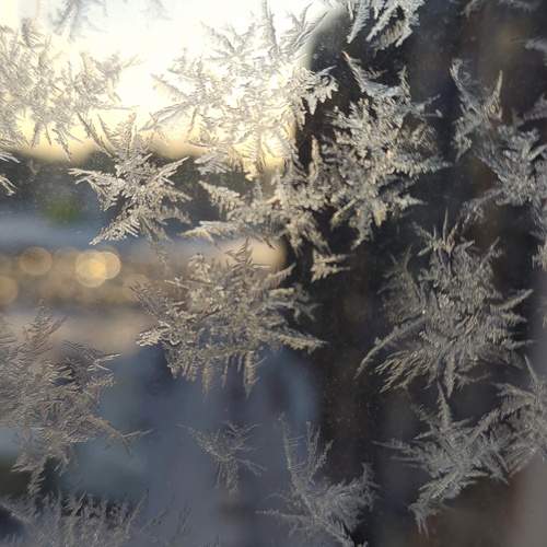 Photo #13024532
