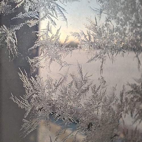 Photo #13024535