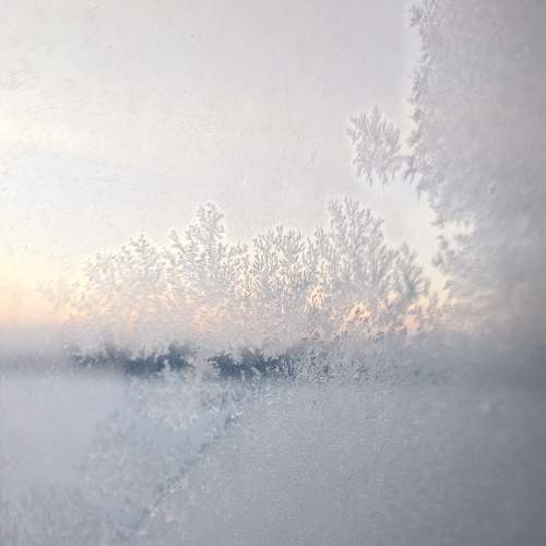 Photo #13024539