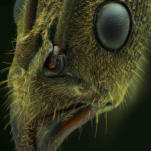 Фотография #13024674