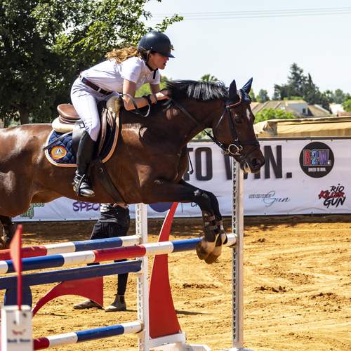 Photo #13024683