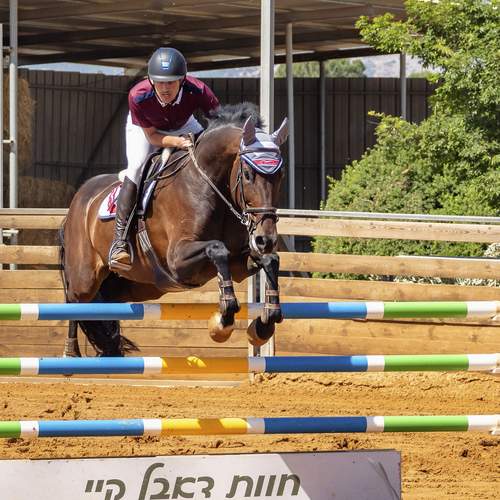 Photo #13024692