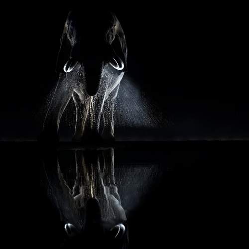 Пульверизатор