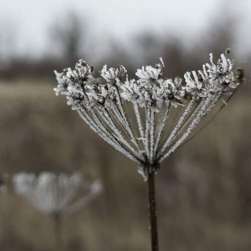 Photo #13024792
