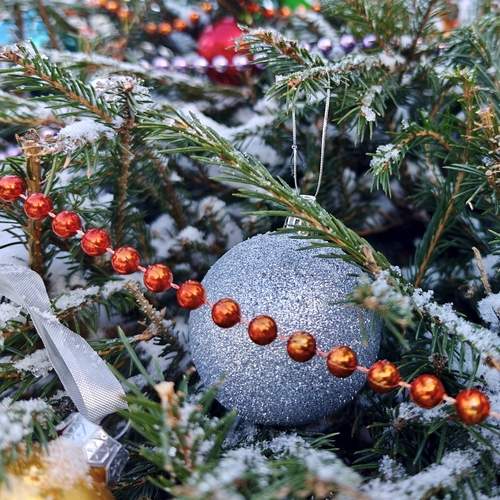 Photo #13024845