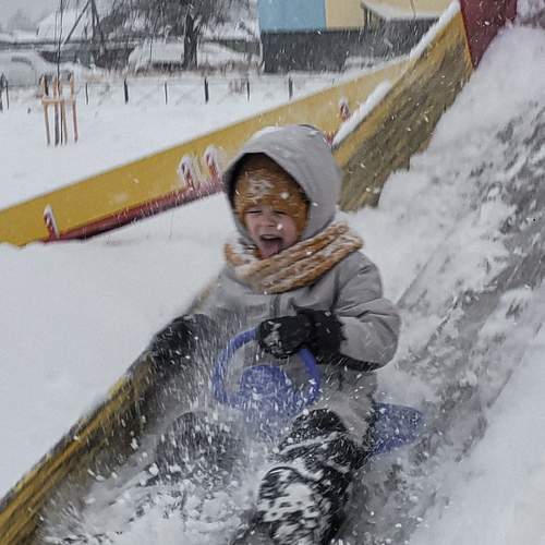 Photo #13024949