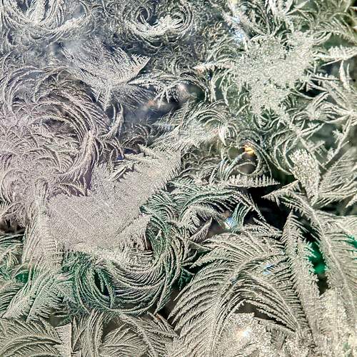 Фотография #13024975