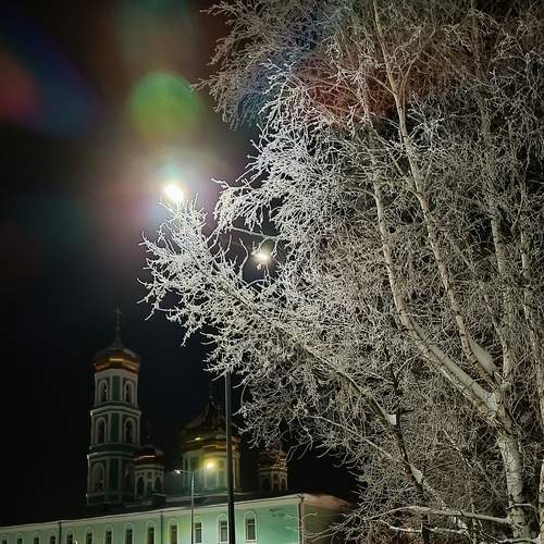 Photo #13025017