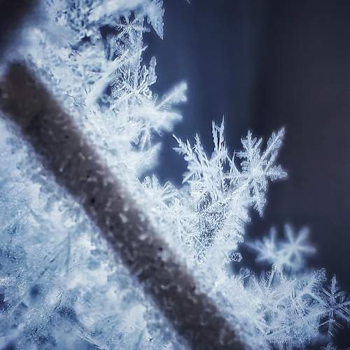 Photo #13025083