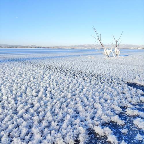 Photo #13025116