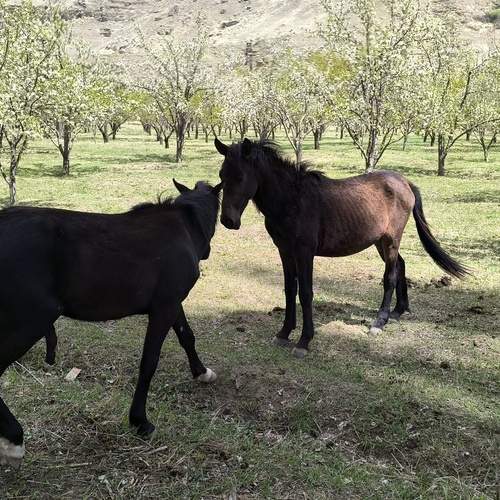 Photo #13025208