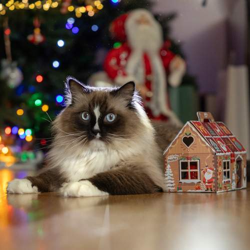 Photo #13025369