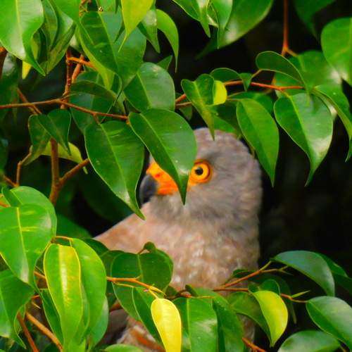 Photo #13025514