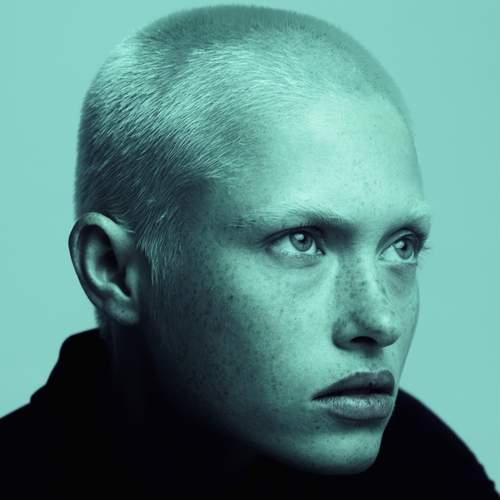 Perfect Muse