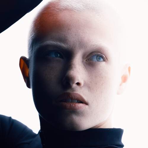 Photo #13025586